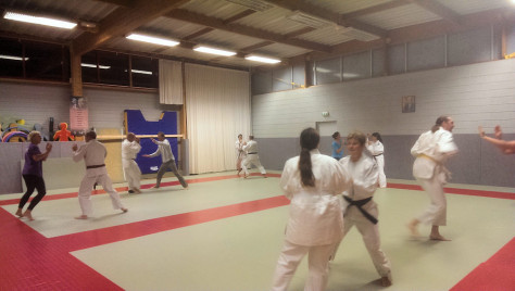 judo, ju jitsu, kendo, self defense